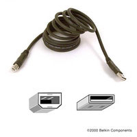 Belkin USB 2.0 CABLE USBA-USBB 4.8M (CU1000VED16)
